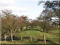 Railway trackbed, Bowershall