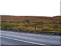 B7809 : Rough grazing to the west of N56 - Croaghnashallog Townland by Mac McCarron