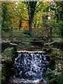 Small waterfall, Stricklands Glen