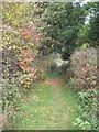 Footpath alongside the A39 Carnon Downs by-pass