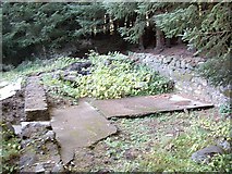 NJ4428 : Ruined croft house by Stanley Howe