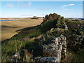 NY7868 : Hadrian's Wall from Milecastle 37 by Clive Nicholson