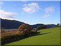 Pasture, Underskiddaw