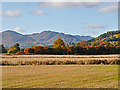 Fields at Lawers