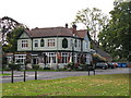 The Swan Inn (2)