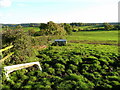 Pasture land near Hawkshill Farm