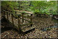 Footbridge, Snuffmill Dingle