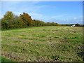 Haylage land at Whiddon Down