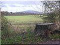 A stump, a field & The Wrekin