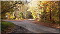 Junction of roads and bridleway on Hydon Heath