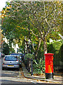 Bonnington Square, Vauxhall