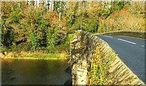 J4846 : The Quoile Bridge near Downpatrick (4) by Albert Bridge