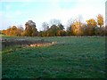 Fox Brake, Pulpit Hill, east of Sparsholt, Oxfordshire