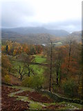 NY3404 : Ascending Loughrigg Fell by Michael Graham