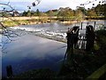 The weir at Stair