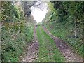 Bridleway, Cheselbourne