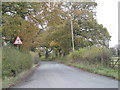 A lane in autumn