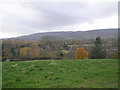 Grassy field in front of Neenton