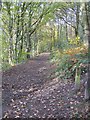 Footpath at Moss Valley Country Park