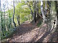 Upper footpath at Moss Valley Country Park