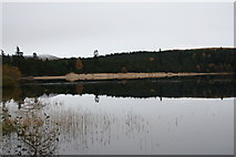 NN5389 : Loch Laggan Sand by Andrew Wood