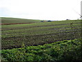 Across the Field to Grange Farm