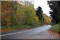 ST5297 : A466 from the car park at Wyndcliff by Ruth Sharville