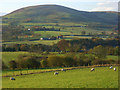 NY4327 : Pastoral view, Hutton by Andrew Smith