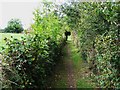 Footpath west of Claygate station