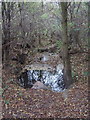 Martins Pond overflow