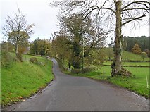 H5656 : Road at Glenhoy by Kenneth  Allen