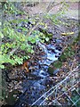 Brook beside the road at Maesypandy