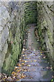 Steps, Ashley Street