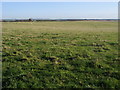 Cottage across the field