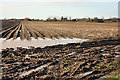 Potato field near Leconfield