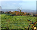 Pasture by Penplas Road