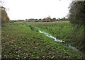 Footpath following stream