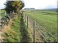 Footpath near Hague Street