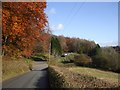 The road at Llwyn Hir