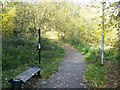 Footpath Junction in Walderslade Wood