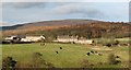 Roadside farm and cottages