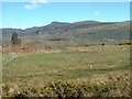 Farmland near Tyddyn Rhyddyd