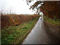 Road to Greenlaw in Berwickshire