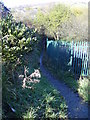 Footpath to Swinnel Brook