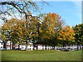 Autumn colour, Mendalgief Road