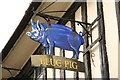 The sign of the Blue Pig