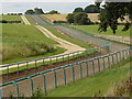 Racehorse gallops on the Trent Valley way