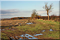 A wet field near Hutton Cranswick