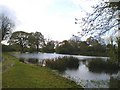 Pool at Pont-y-Gafel farm