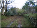 Walled track at Pont-y-Gafel